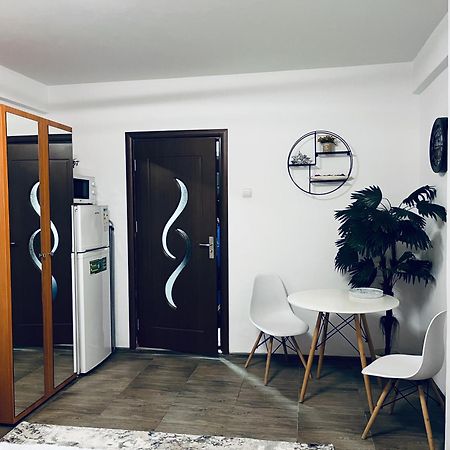 Studio Vio Leilighet Tulcea Eksteriør bilde