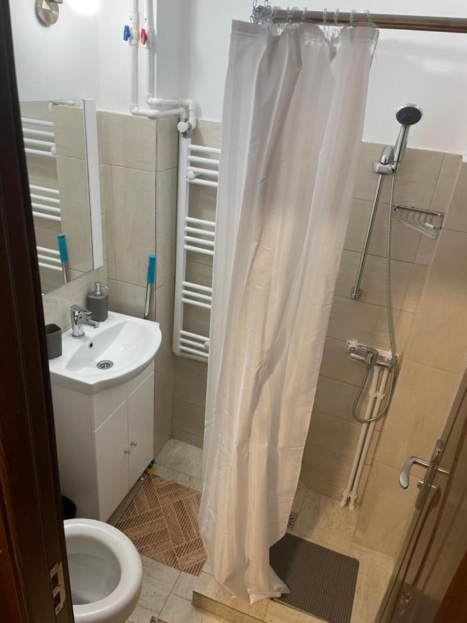 Studio Vio Leilighet Tulcea Eksteriør bilde