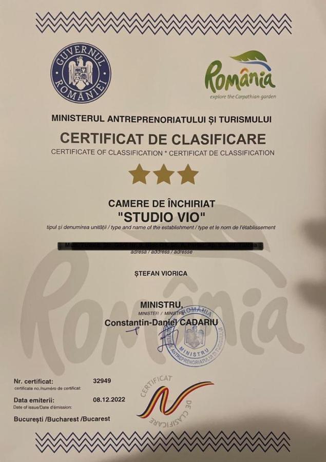 Studio Vio Leilighet Tulcea Eksteriør bilde